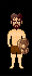 Skin escudo de tortuga reforzado.gif