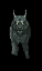 Lobo negro