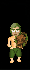Skin escudo de roble e-g.gif