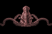 Pulpo.gif