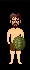 Skin escudo de tortuga.gif