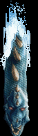 Leviathan Segador.gif