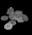 Moneditas de Mithril.png