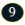 Descripción Nº9